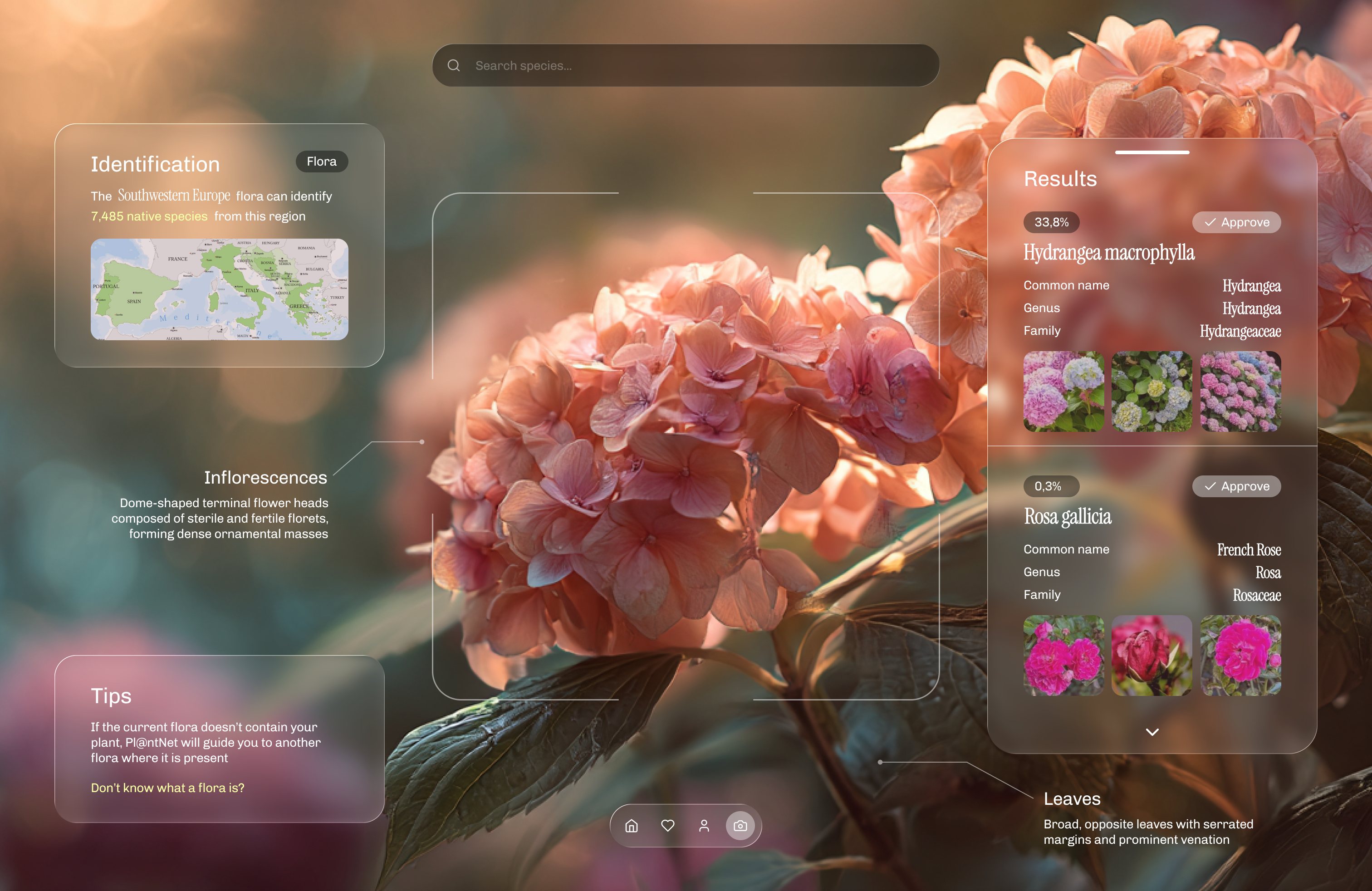 Plant ID concept